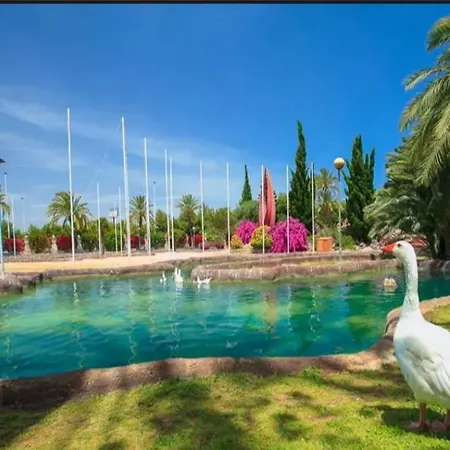Beach Apartment Torrevieja Hébergement de vacances