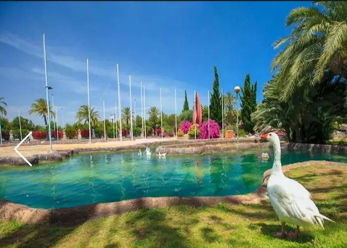 Beach Apartment Torrevieja Feriehus