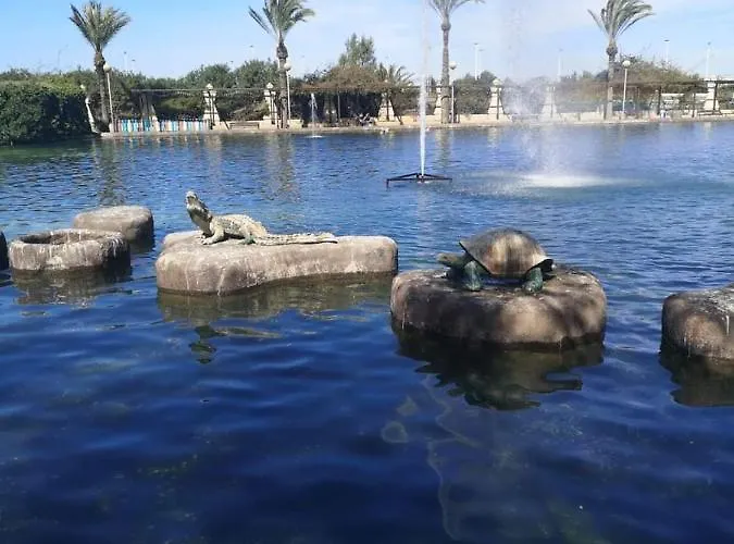 Beach Apartment Torrevieja Torrevieja